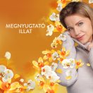 Lenor Gold Orchid öblítő 2,478 liter (118 mosás)