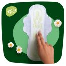 Naturella Ultra Night Plus egészségügyi szárnyas betét, 5-ös méret (12 db)