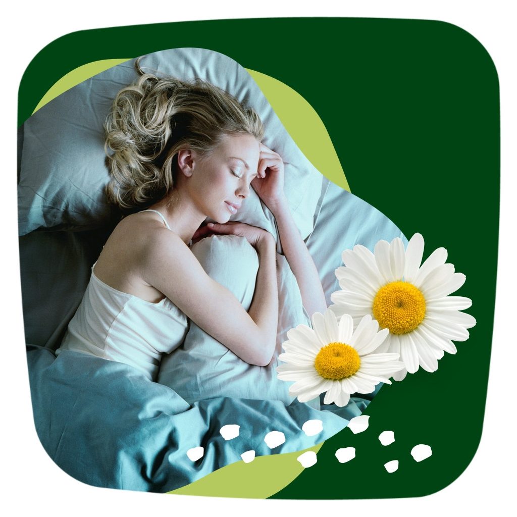 Naturella Ultra Night Plus egészségügyi szárnyas betét, 5-ös méret (12 db)