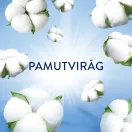 Lenor Parfümgyöngy Cotton Fresh 495 g (41 mosás)