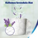 Zewa Deluxe Lavender Dreams 3 rétegű toalettpapír (24 tekercs)