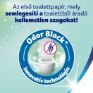 CSOMAGOLÁSSÉRÜLT - Zewa Deluxe Lavender Dreams 3 rétegű toalettpapír (24 tekercs)