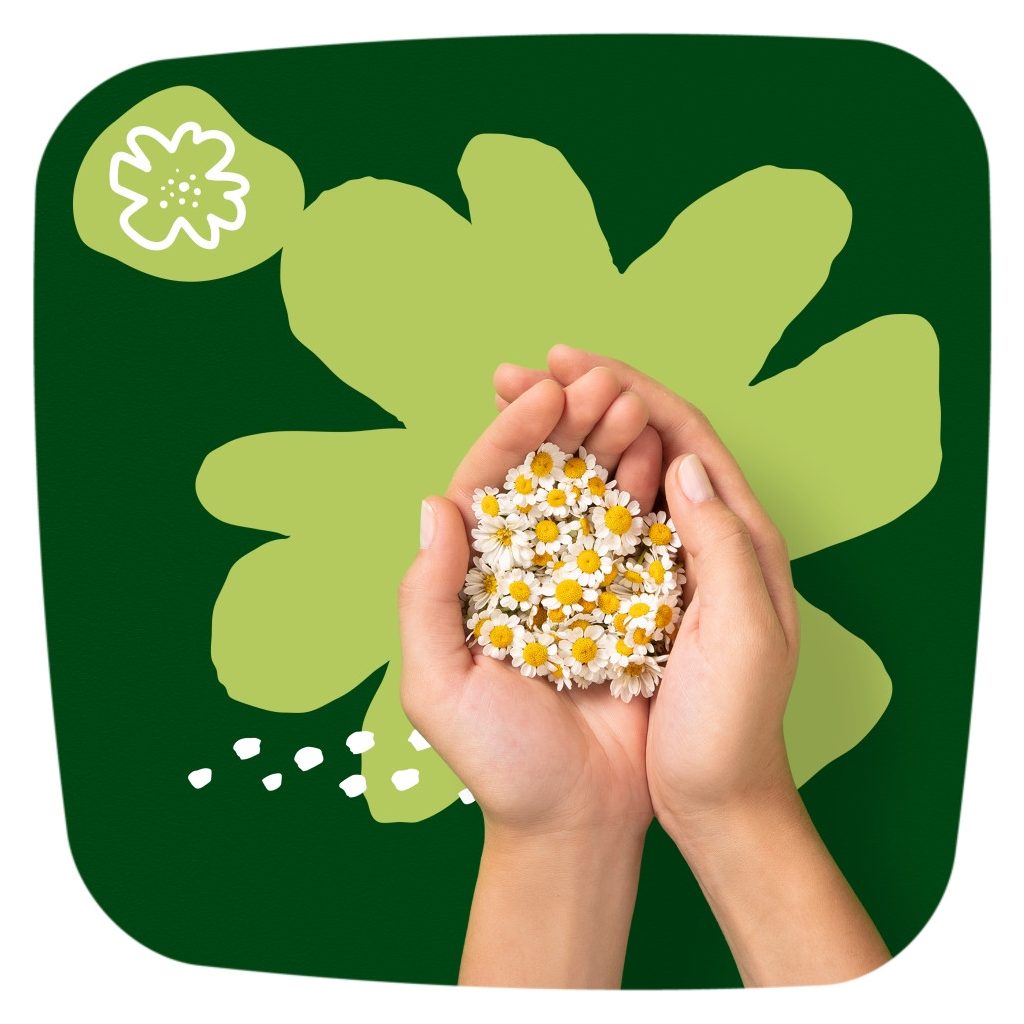 Naturella Ultra Night Szárnyas Betét (14 db)