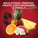 Old Spice Wolfthorn stift dezodor férfiaknak (65 ml)