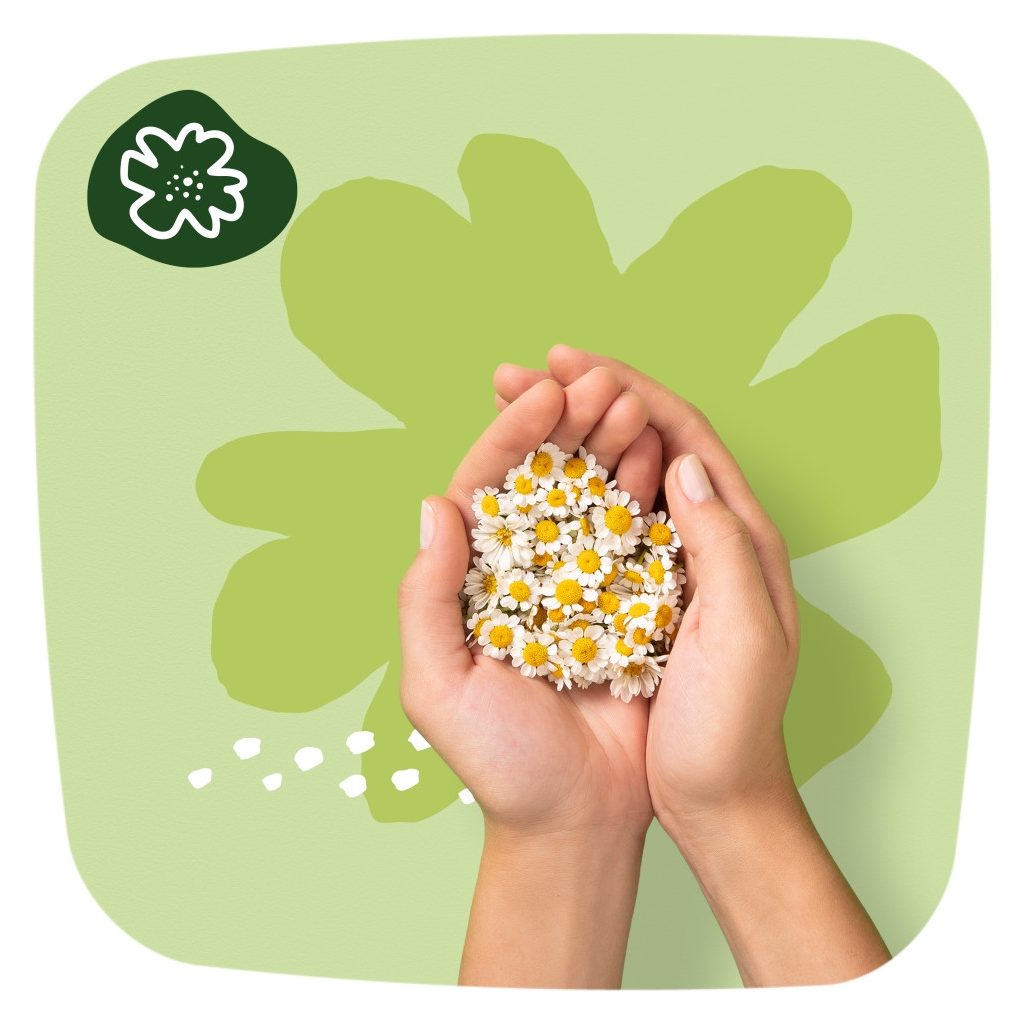 Naturella Ultra Normal egészségügyi betét (20 db)