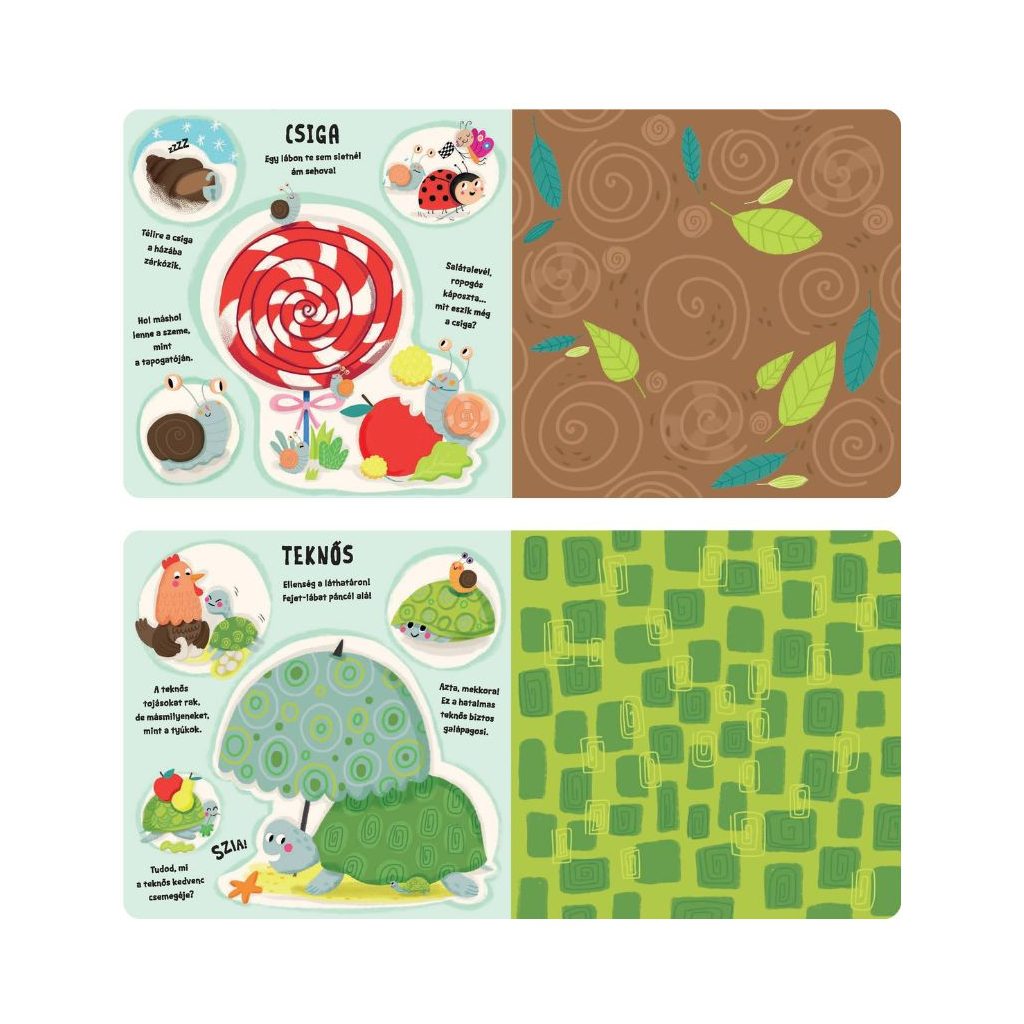 Bújócska - Kuckók és vackok